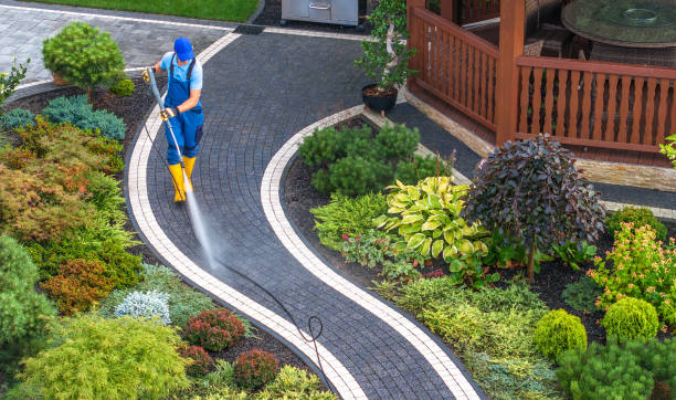 Best Local Pressure Washing Services  in Corrales, NM